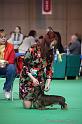 Crufts2011_2 840